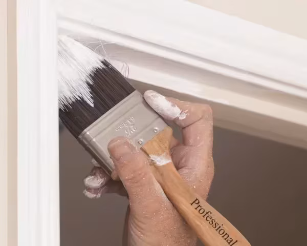 Paint touch up